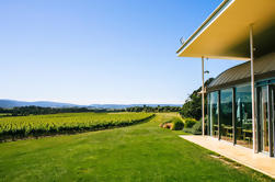 Yarra Valley Winery Tour mit Mittagessen