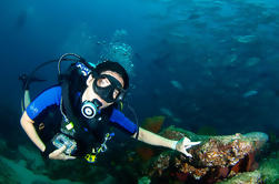 Discover Scuba Diving