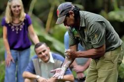 Mossman Gorge, Aboriginal Dreamtime Walk e Daintree River Crocodile Cruise Day Trip