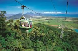 Skyrail Rainforest Cableway Day Trip from Palm Cove