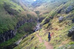 Walking Tour: Ribeira Funda and Furnas from Ponta Delgada