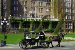 El Royal Carriage Tour