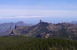 Excursion d'une journée à Gran Canaria