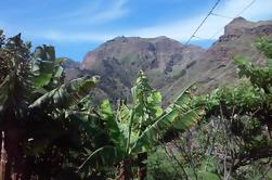 Las Palmas Shore Excursion: Coffee, Wine and Cheese Private Tour of Gran Canaria