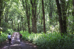 Passeio de 2 dias para ciclismo e caminhadas na região do Café de Pereira