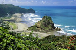 Full-Day Piha en Waitakere Eco-Tour inclusief lunch van Auckland