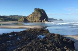 Visite privée: Piha et Waitakere Eco-Tour avec leçon de surf d'Auckland