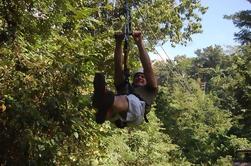 Zipline Adventure desde Montego Bay