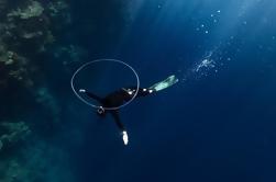 Half-Day Ontdek Freediving bij Sail Rock van Koh Samui