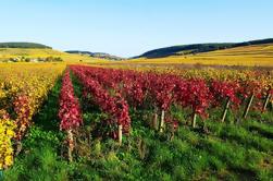 Excursión de un día a Macon Villages con cata de vinos de Lyon