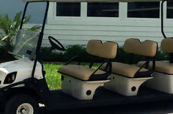 Street Legal Golf Cart mieten in Fort Lauderdale