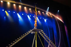 Beijing Evening Acrobatic Show En Chaoyang Teatro Con Transferencia Privada