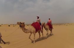 4X4 Morning Dubai Desert Safari met kameelrijden