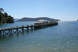 Full-Day Marlborough Catamaran Cruise met Wine Tour en Lunch