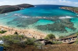 Oahu Shore Excursion: Hanauma Bay Snorkeling