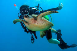 Scuba Diving for Beginners on the Leeward Coast