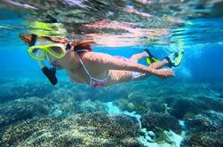 St Maarten zeilen en snorkelen Tour: Tintamarre Island, Creole Rock en Lunch in Grand Case