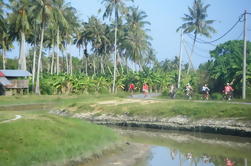 Excursão de ciclismo de meio dia em Penang