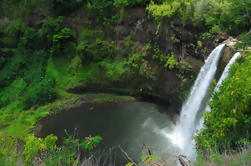 Papeete Inner Island Jeep Safari de día completo