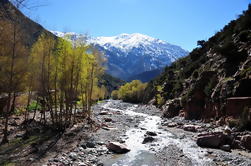 Ourika Valley og Atlasfjellene Dagstur fra Marrakech