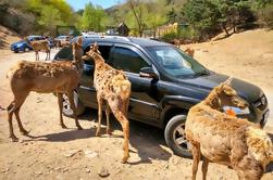 Day Tour privato a Pechino Badaling Wildlife Park e Great Wall