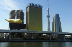 Halbtages-Sightseeing-Tour in Tokio