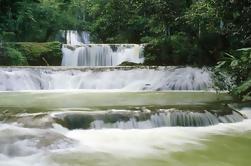 Excursão Todo-Dia Todo-Inclusive da costa sul de Jamaica