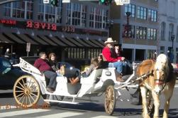 Passeio de Cavalo e Carruagem no Centro de Nashville