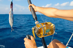 Private Deep Sea Fishing Tour von Abrantes