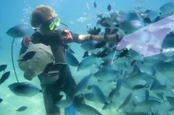 Excursión de un día de buceo desde Cartagena