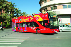 Málaga City Pass: Erlebnis oder VIP Card