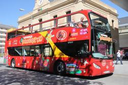 Malaga Shore Exkursion: Stadtbesichtigung Malaga Hop-On Hop-Off Tour