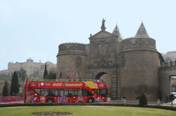 Boleto de autobús Hop-On Hop-Off de 24 horas