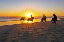 Plage Equitation à Cartagena