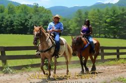 Georgia paseo a caballo con cata de vinos