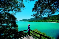 Daintree Rainforest, Cape Tribulation and Rainforest Habitat Wildlife Sanctuary Day Tour