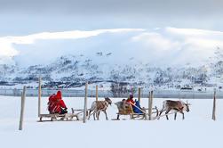 Reindeer Rodelen, Feeding, en Sami cultuur Tour van Tromso