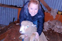 Visite de la ferme de moutons de Christchurch