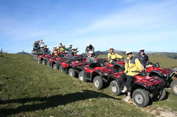 Tour du Quik de Kaikoura à partir de Christchurch