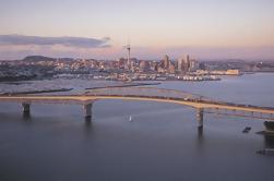 Excursão da costa de Auckland: Excursão Sightseeing da cidade, cruzeiro do porto e torre do céu