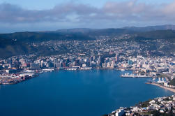 Wellington Shore Excursion: Excursão pela cidade