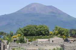 Excursión de medio día a la ciudad de Nápoles y Pompeya desde Sorrento