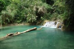 Recorrido privado: Cascada de Kuang Si de Luang Prabang