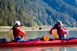 Half-Day Tonsina Creek Kayaking Aventura de Seward