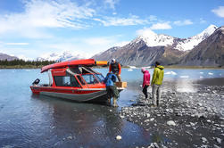 Bear Glacier Kayaking Aventura con el transporte de Jetboat