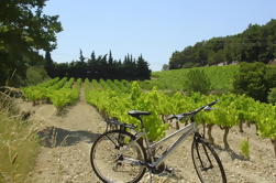 Tour de Bicicleta Guiada Privada desde Avignon