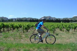 Tour guiado privado en bicicleta por Saint Rémy