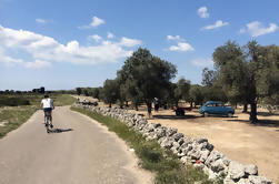 De Lecce a la Costa Tour de Bicicleta de Día Completo