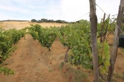 Malaga Shore Excursion: Private Winery Tour met wijnproeverij en tapas in Ronda