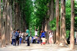 Excursión de día completo a Nami Island y Petite France desde Seúl